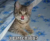 Слабо_50.jpg