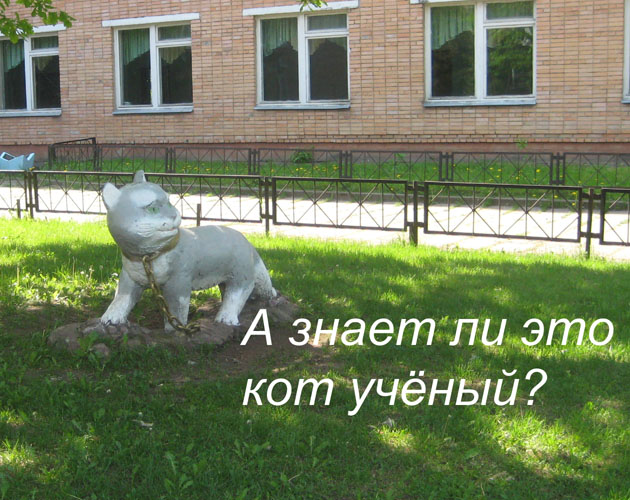 Знает ли кот_50.jpg